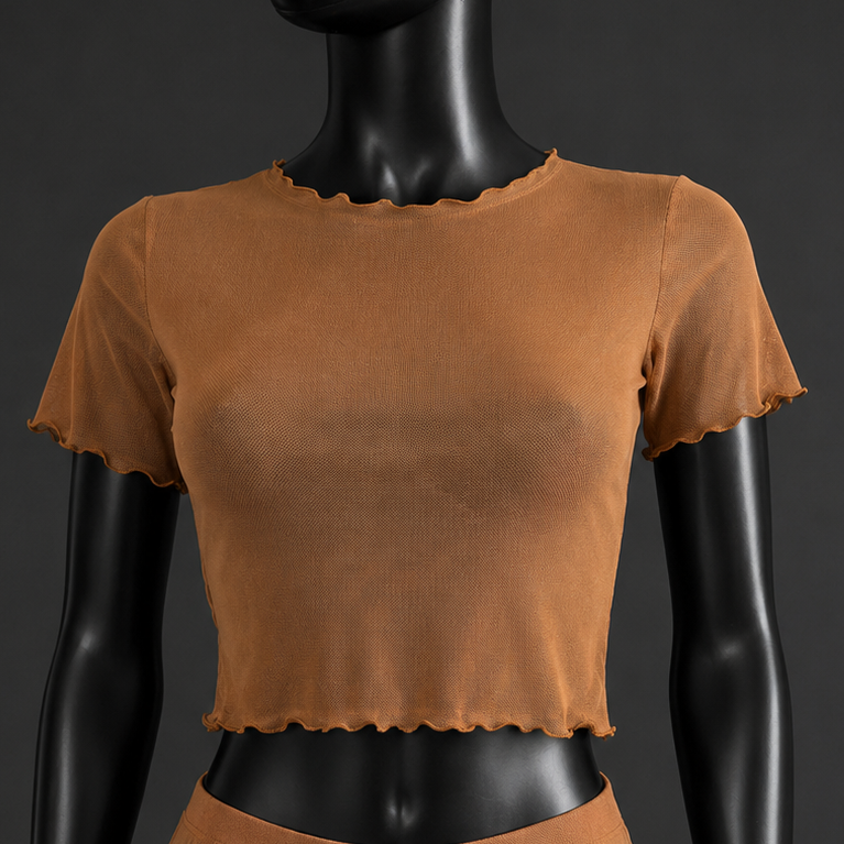 Brown Mesh Tule Short Sleeve Crop Top