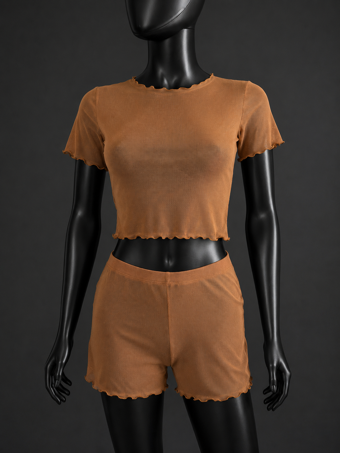 Brown Mesh Tule Short Sleeve Crop Top