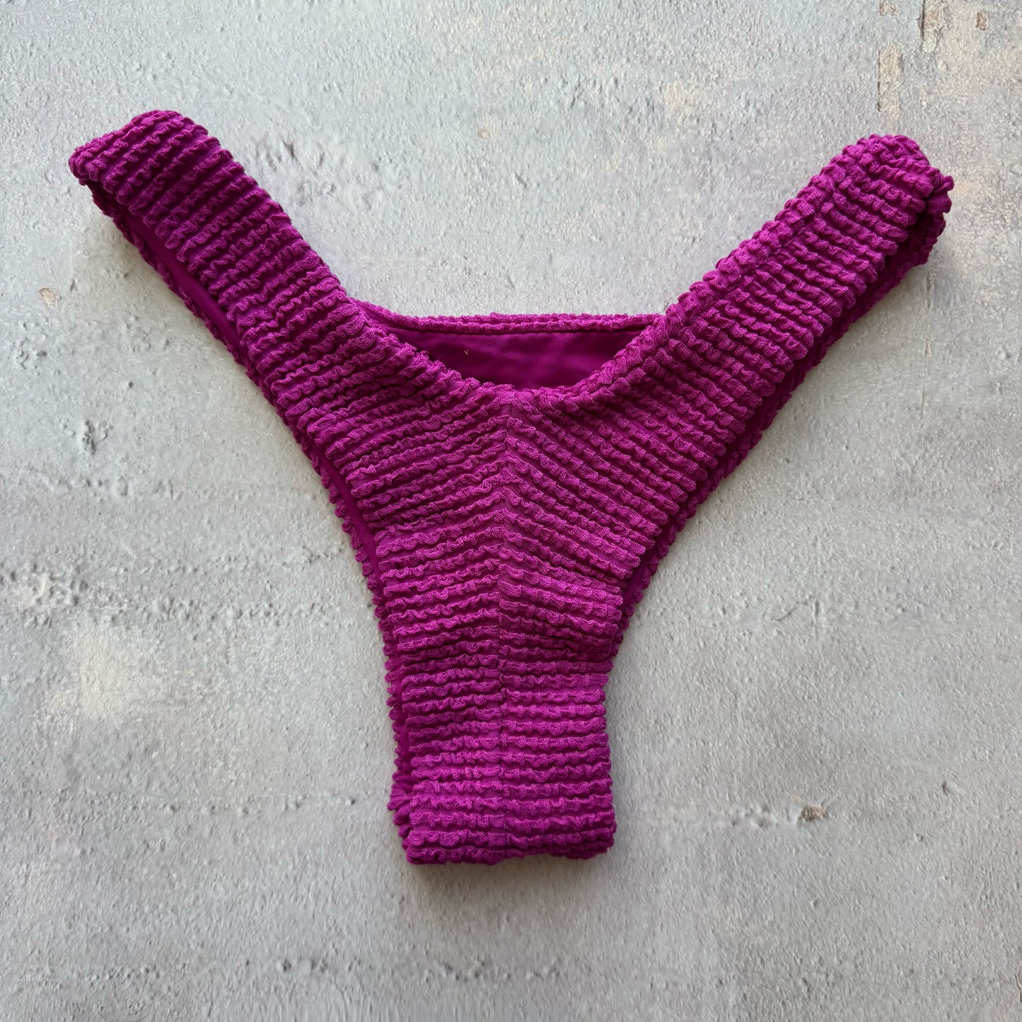 Purple Gaya Textured Bia Bikini Bottom