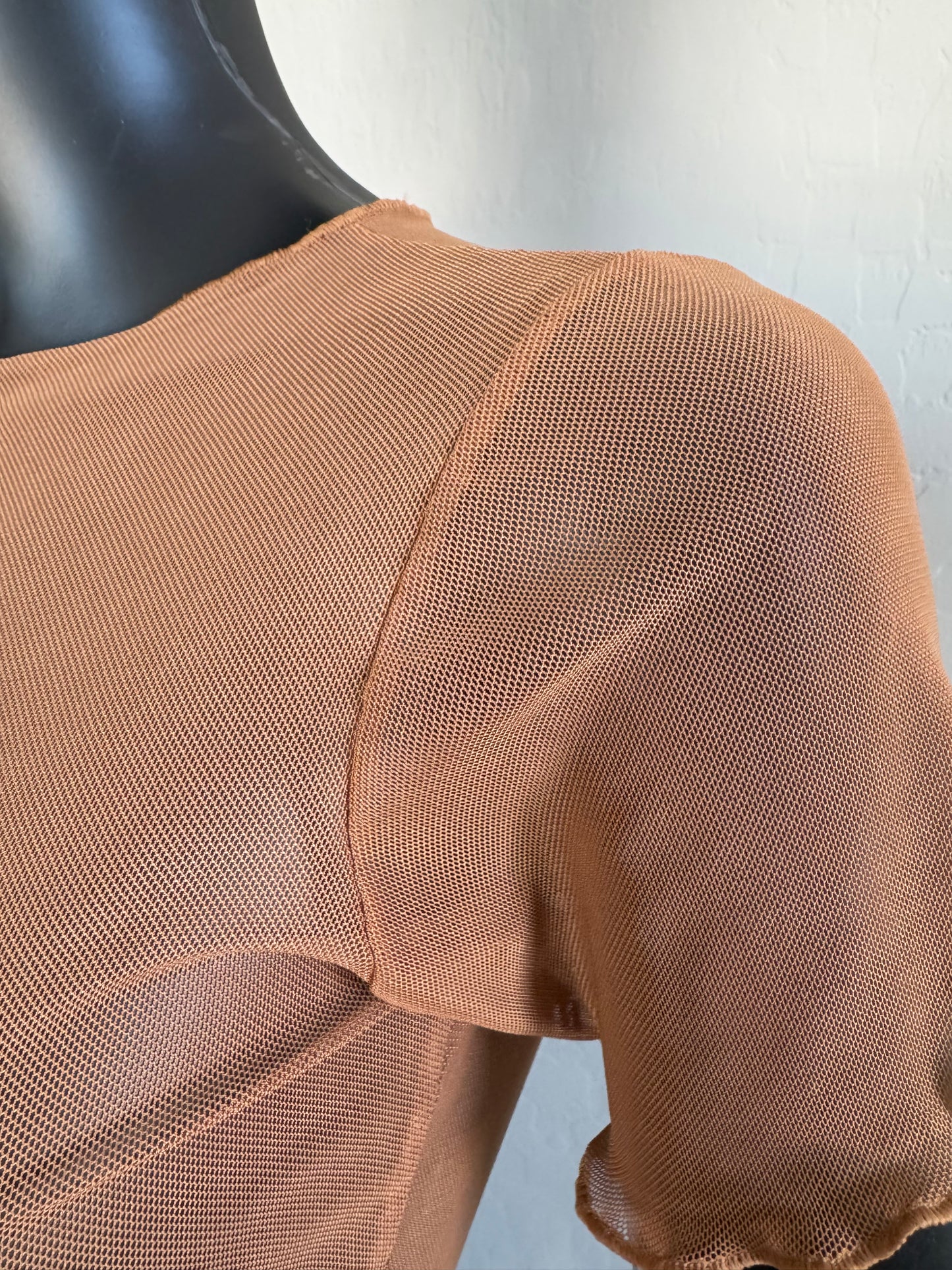 Brown Mesh Tule Short Sleeve Crop Top