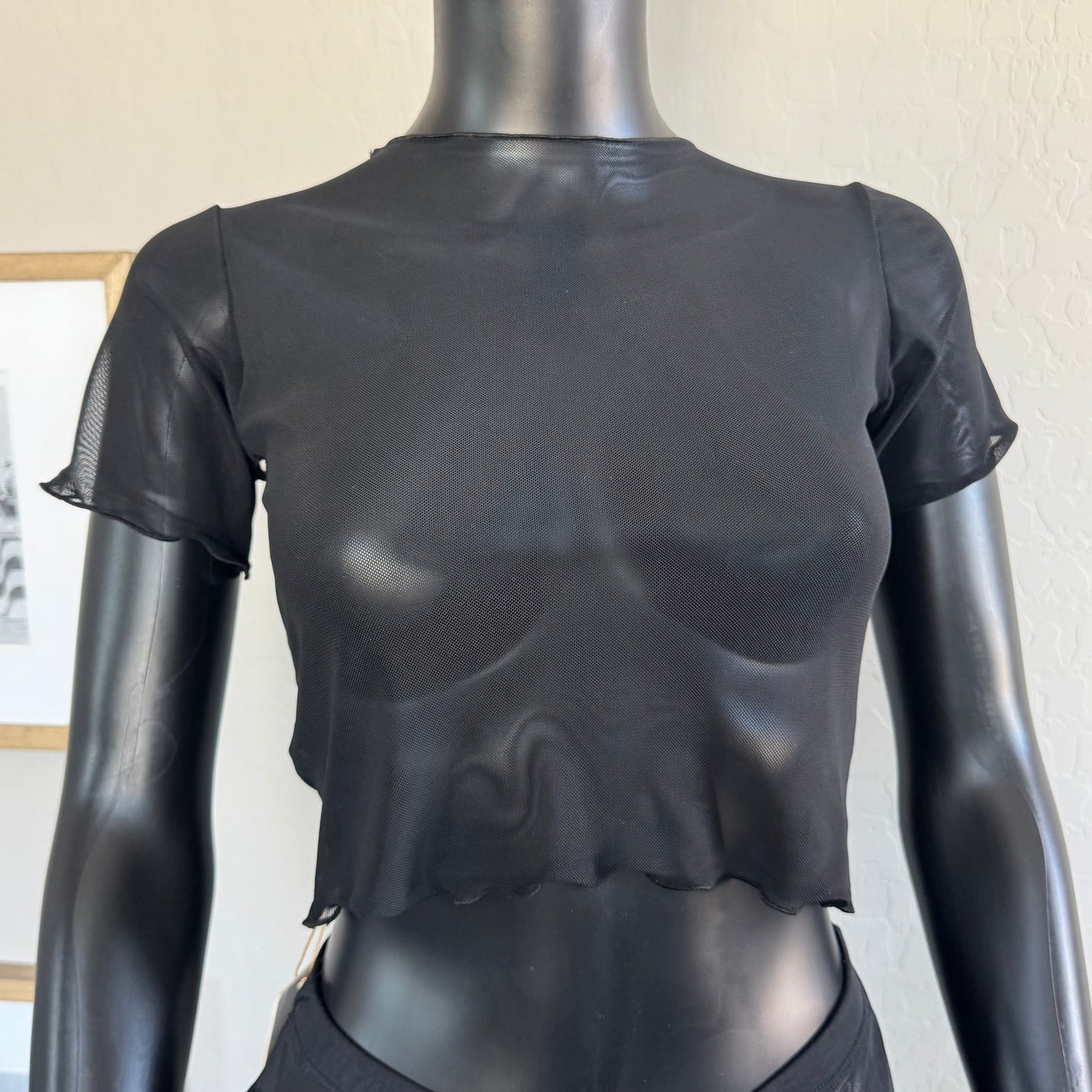 Black Mesh Tule Short Sleeve Crop Top